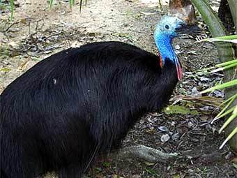 ������. ���� � ����� routard.com