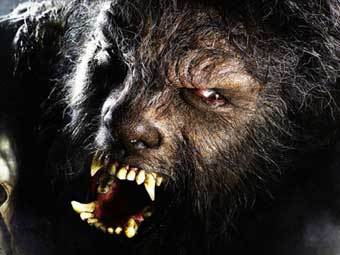 ������� ���� ���� � ����� ��� ������ "��������-�����". ���� � ����� �omingsoon.net.