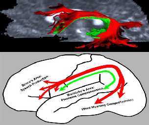 ������������ ����� (������� � �������) � ����� ��������. ������: ������ �������������, �����: ������������� �����������. ����������� �� ������ ��������������, ���������������� � ������� Science. 