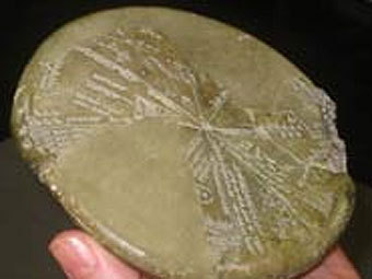 ������� ����������� �������� �� �������. ���� � ����� ������������� ������������