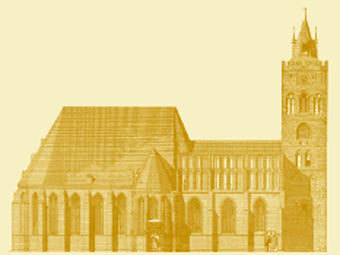 �����������. ����������� � ����� st-marien-ffo.de