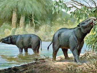 Moeritherium. ����������� Heinrich Harder � ����� wikipedia.org 