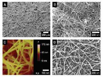 A   ������� ����������� ������, B   ������ �� ����������� ���������� ����������, D   ������ �� ������������ ���������� ���������� (������������� ����������� ����������� ���������), C   ������ �� ������������ ���������� ���������� (������������� ������-������� ���������). ����������� �� ������� Science. 