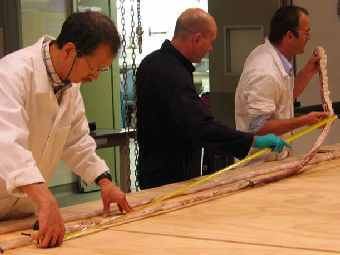 ���� ������������ ������� �� ������������, ������ �������� �������� ����������� �������� (5,7 �����). ���� � ����� ������ "�� ����". 