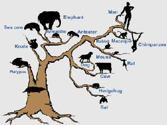 ������������ ������ �������������. �������   ����� ������ �����. ���� �� ����������� ������� Nature. 