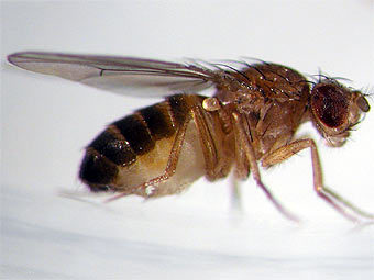 ���� � ����� wisc.edu