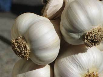 ���� � ����� savoringkentucky.com