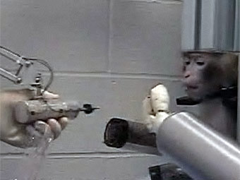 �������� ��������� ������������ ����� � ������� �������� ������ �����. ���� �� ����� ������� ������������.