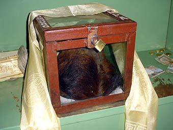 ������ ����, ���������� � ����� �� ���������� ������. ���� ������������ Nmnogueira � ����� wikipedia.org 