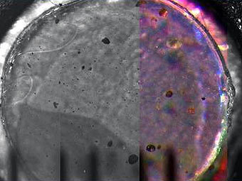 �������� � ���������� �� ��� ������������ ����������. ���� � ����� NASA