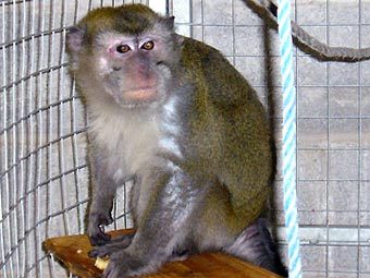 ������ � �����������. ���� � ����� cefn-yr-erw.co.uk 