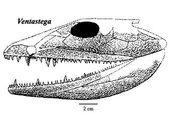 ������� ������ ���������� ����������� ���������. ���� ������� ������������