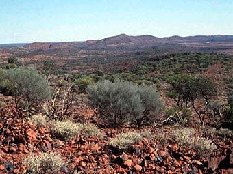 ������ ���� ����� � ��������� - ������� ���������� ������� �����. ���� � ����� nlineminerals.com