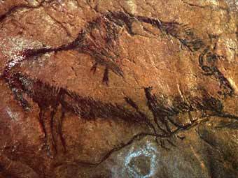 ����������� ������ �� ������ ���. ����������� � ����� donsmaps.com