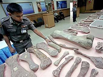 ���������� �������, ������� � ������� ����� � �������� � 2005 ����. ���� AFP, �����