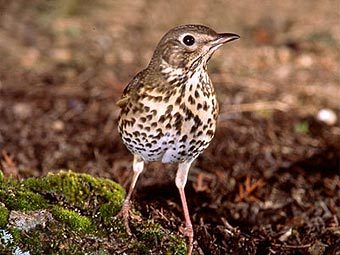 ������ ������ ����������� �� ����� ����, ������� �������� ���� �����, ��� �� �����������. ��� � ����� retamatour.com