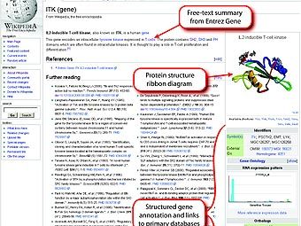 ������ ���������� ���������� �� �������� Gene Wiki. ����������� ������� ������������.