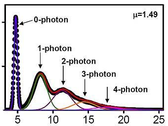 ������ ����������� ���� �� ���������� �������. ����������� ������� ������������.