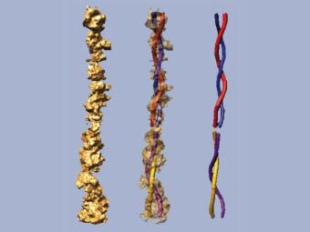 ������ �������� ������, ����������� ����������� �� ���������� ���, ������� ������ �����������. ����������� ������� ������������.