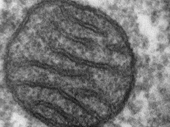 ��������� � ������� ������������ ���������� ���������� ����������� �������� � ���������� �������. ���� � ����� dartmouth.edu