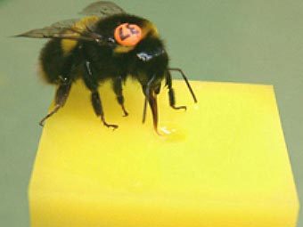 ����� ���������� ������ �� �������������� ������, ��������������� � ������������. ���� � ����� le.ac.uk