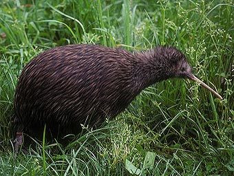 ����� ����. ���� � ����� nationalzoo.si.edu