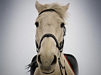 ���� � ����� winmatrix.com