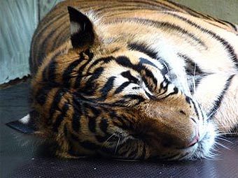 ���� � ����� lifehack.org