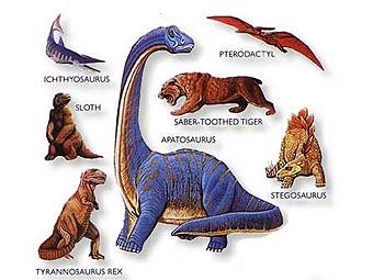 ����� �������� �������. ����������� � ����� thefeltsource.com