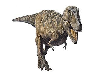 ������������� �������� ���� ����������. ����������� � ����� search4dinosaurs.com