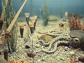 ���� ������������ ������� ������� ���������. ����������� ������������ Necessary Evil � ����� wikipedia.org 