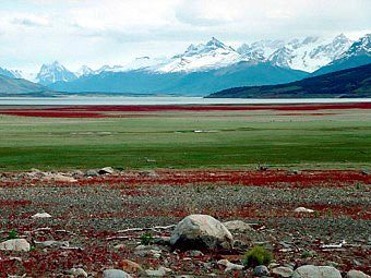 ���������. ���� ������������ Rolf Hengel � ����� wikipedia.org