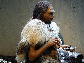 ������������� �������� ���� �������������. ���� ������������ Nascigl � ����� wikipedia.org