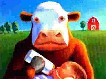 ����������� � ����� macrobiotic.org