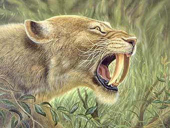 ������������� �������� ���� ���������� ����� Homotherium serum. ����������� � ����� www.tc.gov.yk.ca