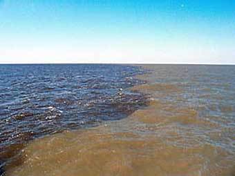 ������� ���� � ������ ����� ���������. ���� NASA/2004