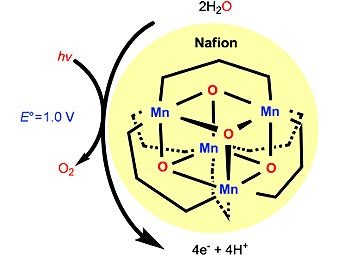 ����� ����� ������ ������������ ��������. ����������� ������� ������������