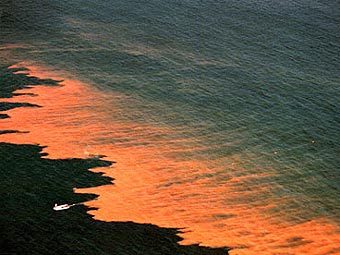 "������� ������". ���� � ����� microbeworld.org