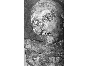 ����� ��������������� �������� ����, ���������� � ������. ���� AFP