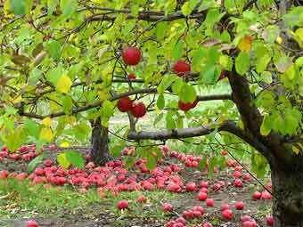 ���� � ����� umn.edu