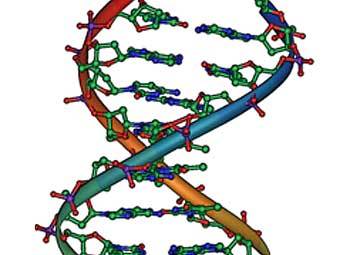 �������� �������� ���. ����������� Michael Ströck