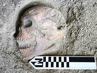 ���� �� ������������ �������. ���� ������� ������������.