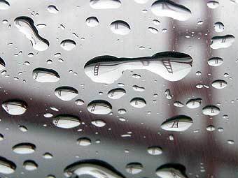 ���� Mila Zinkova � ����� wikipedia.org