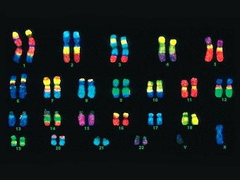 ��������� ��������, ����������� ���������� �����������. ����������� � ����� mun.ca