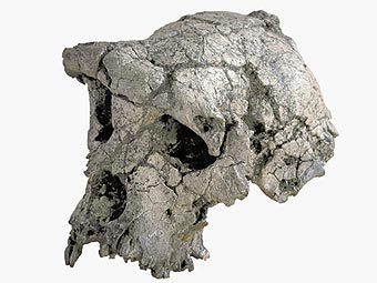 ��������� � 2001 ���� ����� �����. ���� AFP