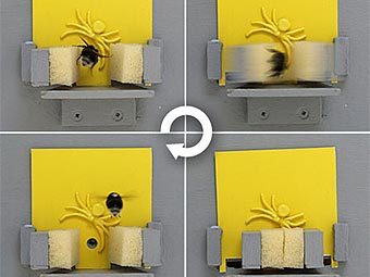 ������������� "�����" � ��������������� �����. ���� ������� ������������