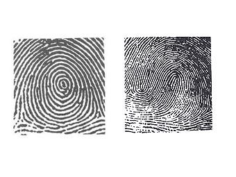 ����������� � ����� midnightresearch.com