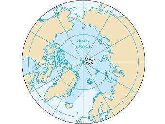 �������� ��������� �����. ����������� ������������ Alfio � ����� wikipedia.org