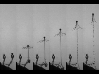 ��������� ������ "����������" �����. ���� ������� ������������.