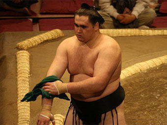 ������ �������. ���� � ����� japan-sumo.ru